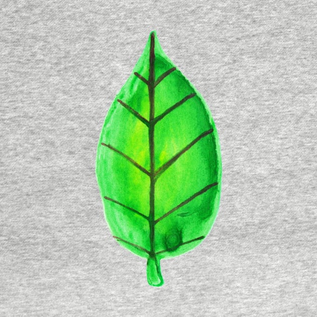 Green Leaf Watercolor by saradaboru